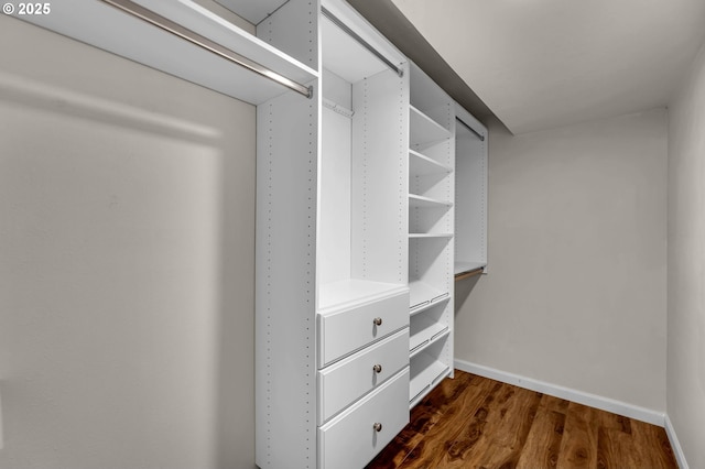 1320 NW Maple Ln, Camas, WA 98607 - walk in closet with dark wood-style flooring