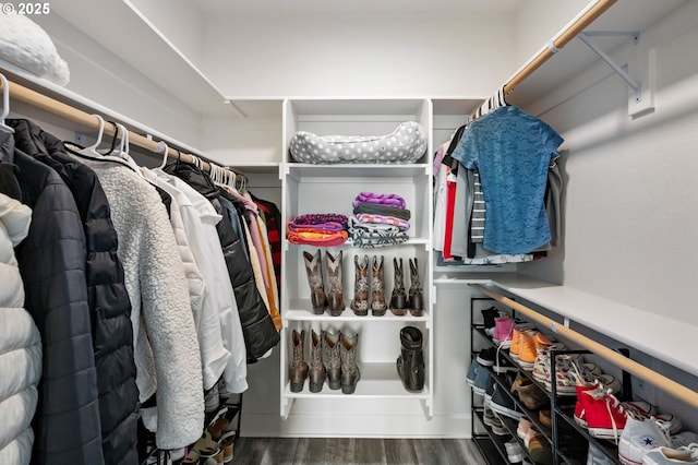 walk in closet featuring wood finished floors