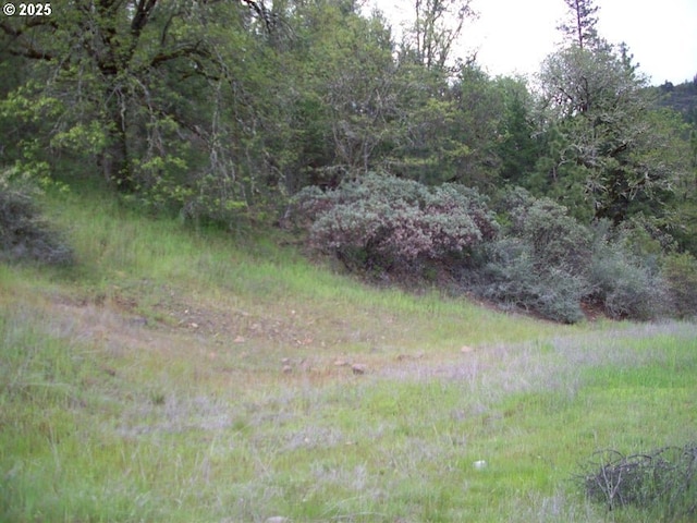 Train Ln, Shady Cove OR, 97539 land for sale