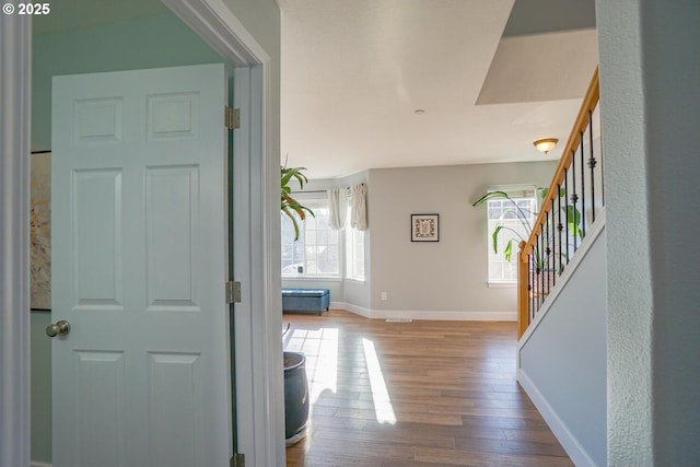 entryway with hardwood / wood-style flooring