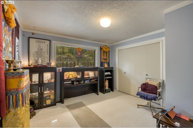 living area featuring ornamental molding, a textured ceiling, and carpet flooring