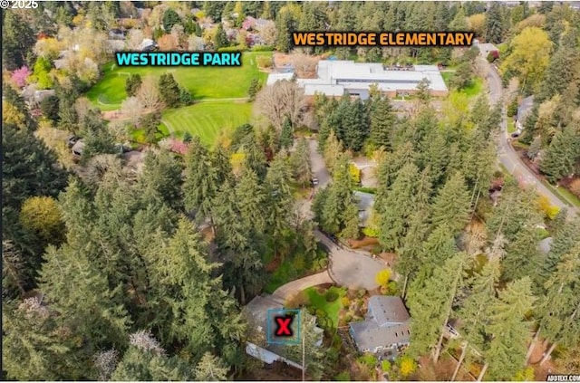 drone / aerial view