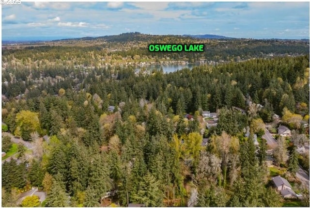 bird's eye view of a heavily wooded area