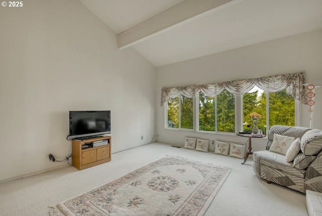 living area with carpet floors