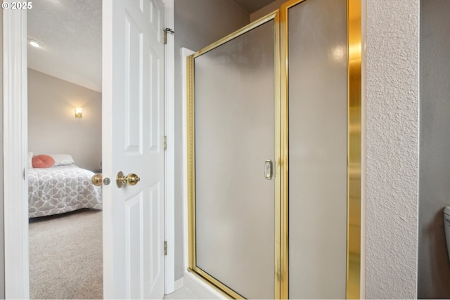 ensuite bathroom with a stall shower and connected bathroom