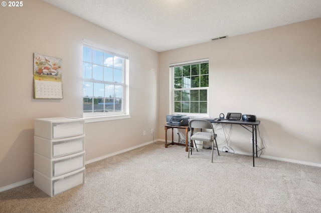 office area featuring carpet, visible vents, and baseboards