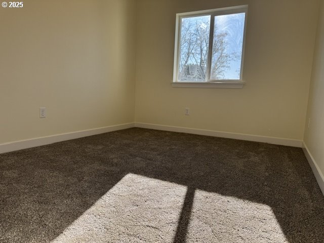 empty room featuring carpet floors