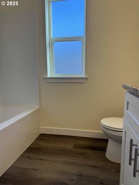 bathroom with hardwood / wood-style floors, vanity, and toilet