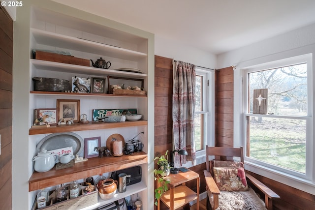 living area with wood walls