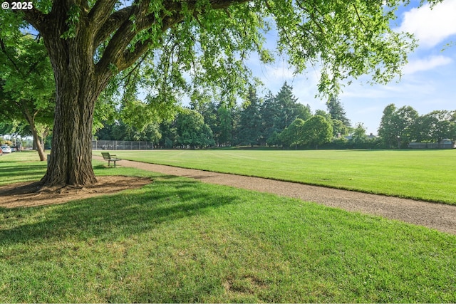 1422 NE 57th Ave, Portland, OR 97213 - view of green lawn