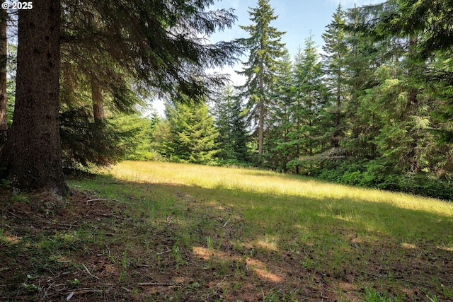 83485 Clear Lake Rd, Florence, OR 97439 - view of yard with a forest view