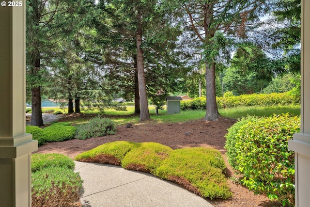83485 Clear Lake Rd, Florence, OR 97439 - view of yard