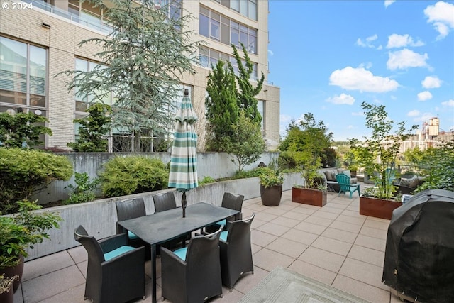 view of patio / terrace with area for grilling