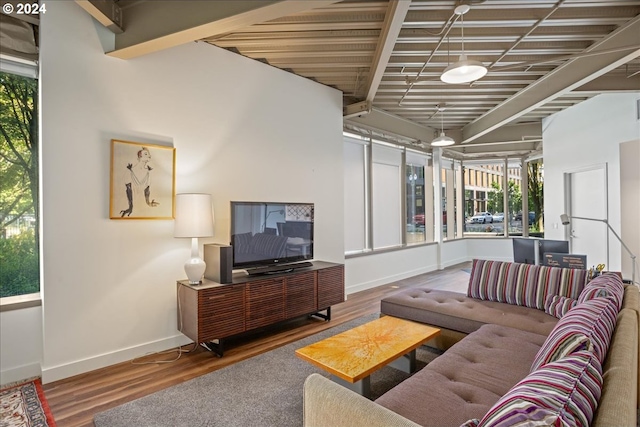 living room with hardwood / wood-style flooring