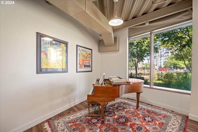 miscellaneous room featuring hardwood / wood-style flooring