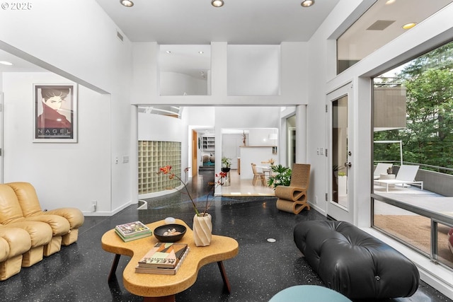 living room featuring a high ceiling