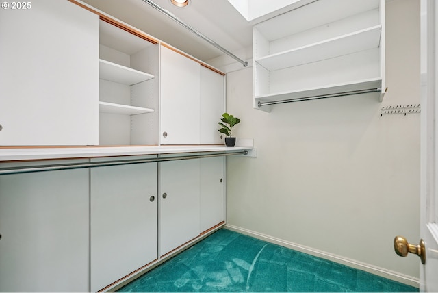 4317 SW Bernard Dr, Portland, OR 97239 - spacious closet featuring carpet floors