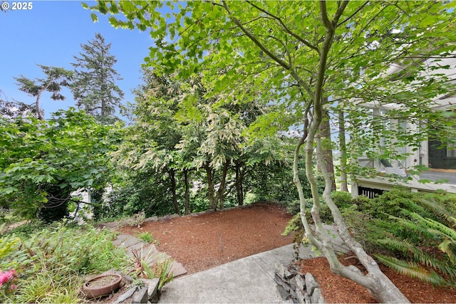 275 Sunset Dr, Eugene, OR 97403 - view of yard