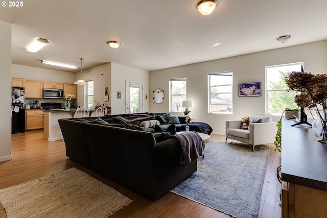 443/447 E 16th Ave, Eugene, OR 97401 - living room featuring light wood finished floors