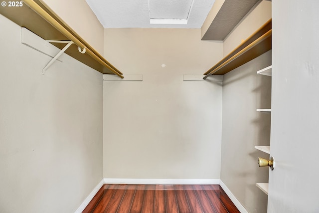walk in closet featuring wood finished floors