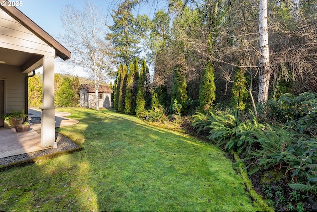 view of grassy yard with an outbuilding