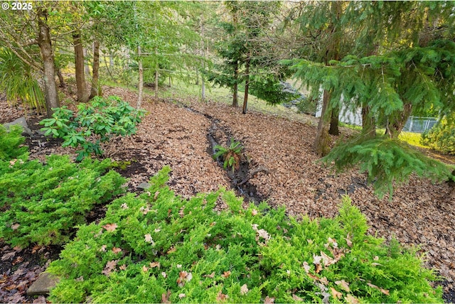 245 Winchester Creek Ave, Winchester, OR 97495 - view of yard
