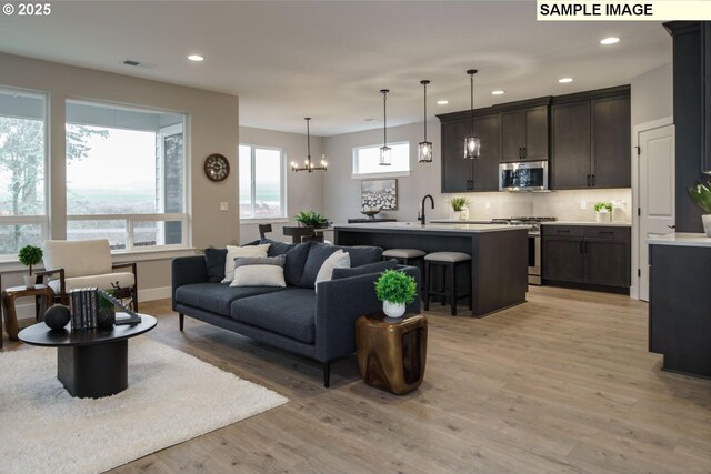 4688 NW 71st Ave, Camas, WA 98607 - kitchen featuring stainless steel appliances, a sink, light wood-style flooring, and dark brown cabinetry