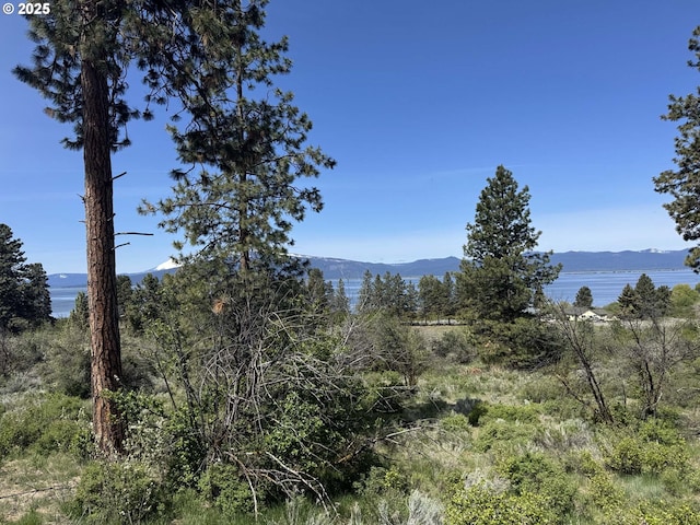 Oregon Shores Dr Unit 18, Chiloquin, OR 97624