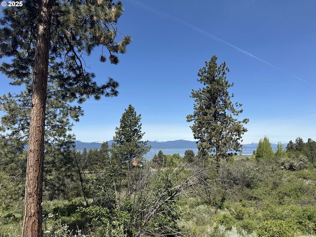 Oregon Shores Dr Unit 18, Chiloquin, OR 97624