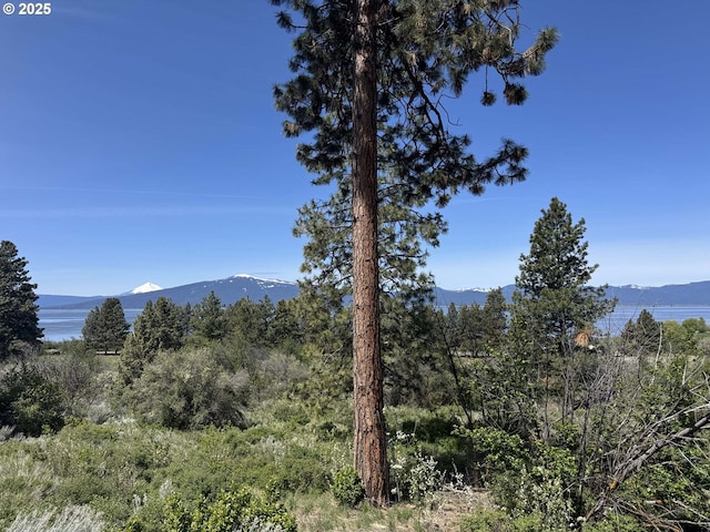 Oregon Shores Dr Unit 18, Chiloquin, OR 97624