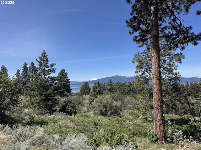 Oregon Shores Dr Unit 18, Chiloquin, OR 97624
