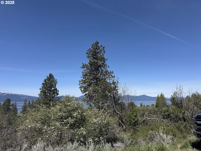Oregon Shores Dr Unit 18, Chiloquin, OR 97624