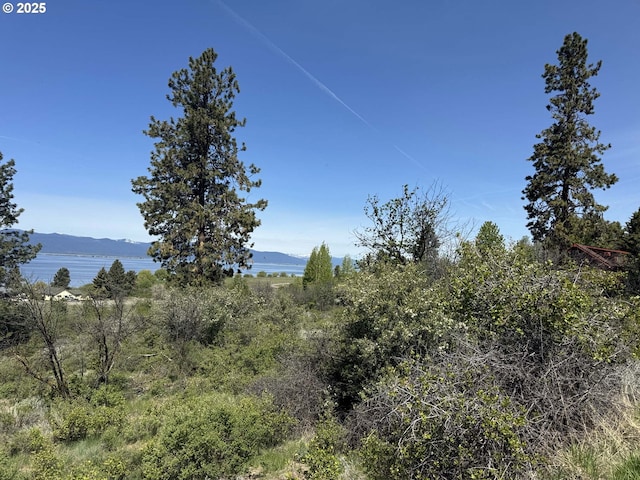 Oregon Shores Dr Unit 18, Chiloquin, OR 97624