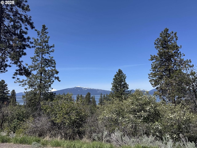 Oregon Shores Dr Unit 18, Chiloquin, OR 97624