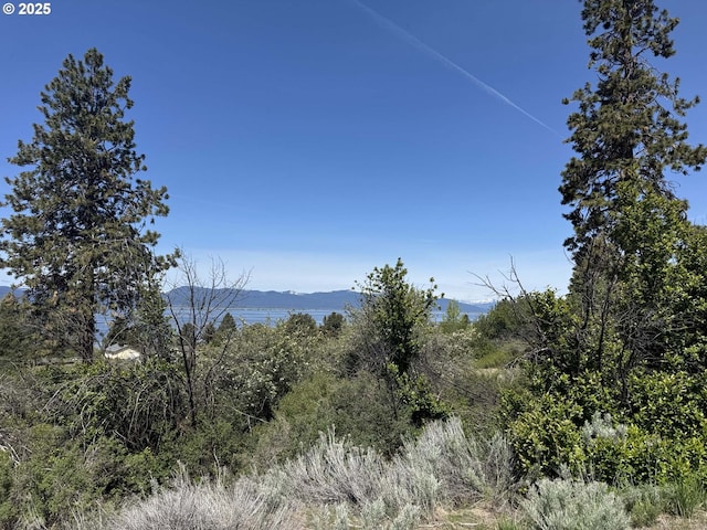 Oregon Shores Dr Unit 18, Chiloquin, OR 97624