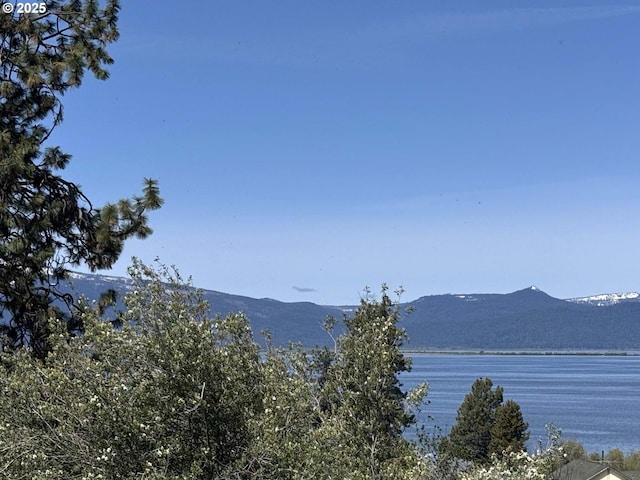 Oregon Shores Dr Unit 18, Chiloquin, OR 97624
