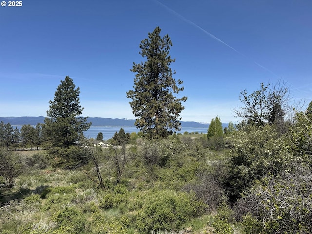 Oregon Shores Dr Unit 18, Chiloquin, OR 97624