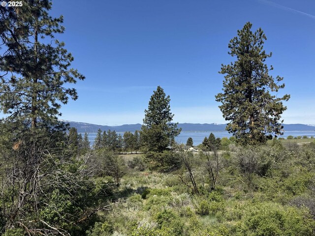 Oregon Shores Dr Unit 18, Chiloquin, OR 97624