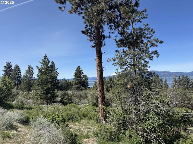 Oregon Shores Dr Unit 18, Chiloquin, OR 97624