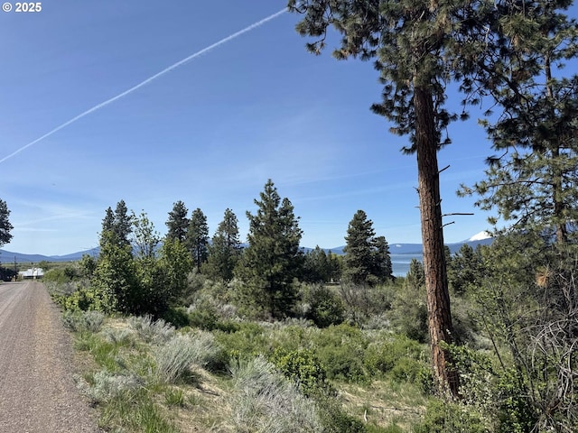 Oregon Shores Dr Unit 18, Chiloquin, OR 97624