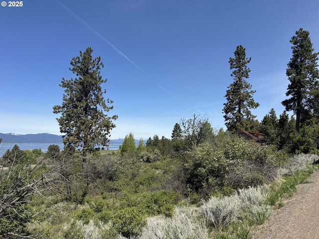 Oregon Shores Dr Unit 18, Chiloquin, OR 97624