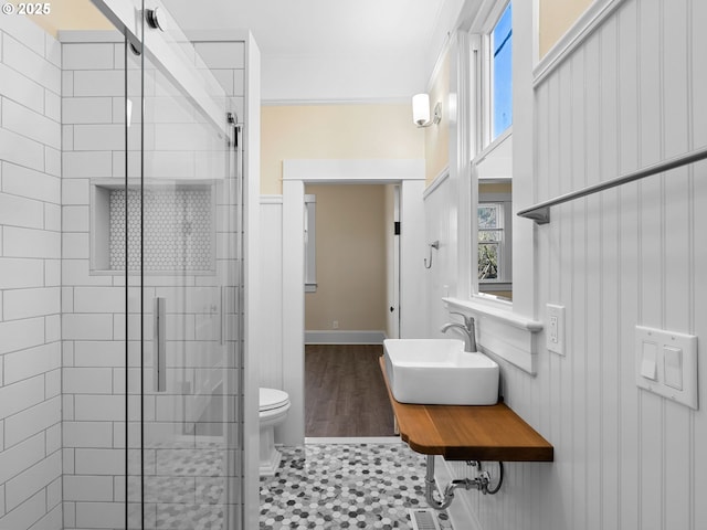 full bath with toilet, a stall shower, a wealth of natural light, and a sink