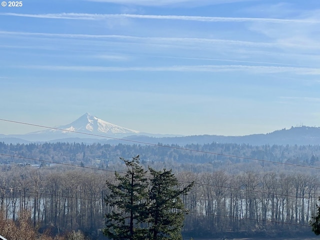 property view of mountains featuring a forest view