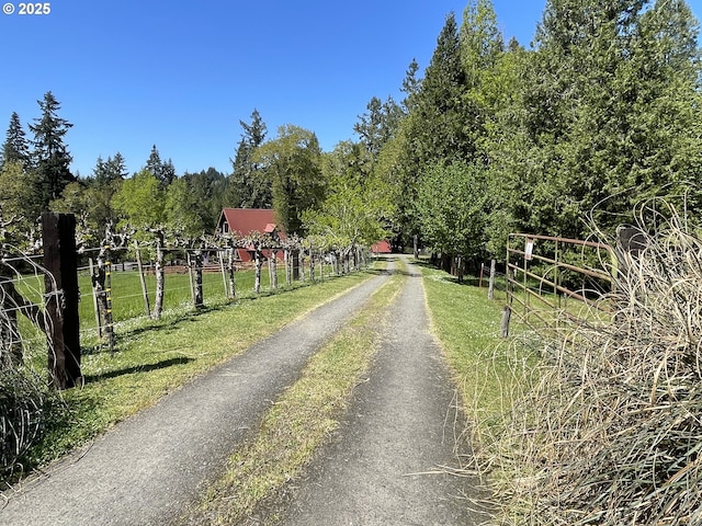 5920 Elkhead Rd, Yoncalla, OR 97499 - view of dirt / gravel driveway
