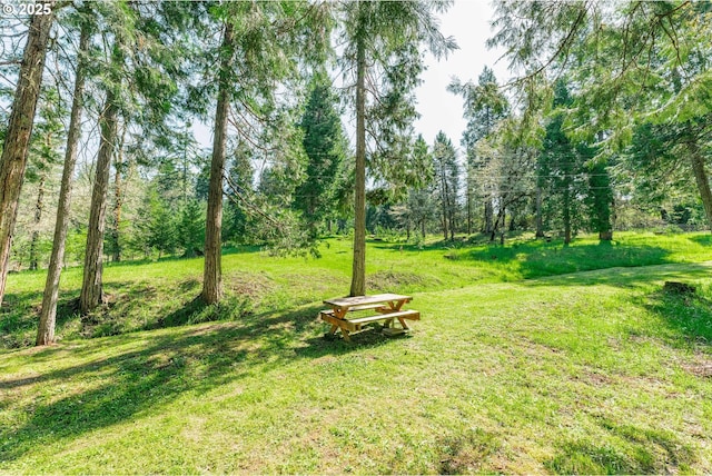 5920 Elkhead Rd, Yoncalla, OR 97499 - view of green lawn