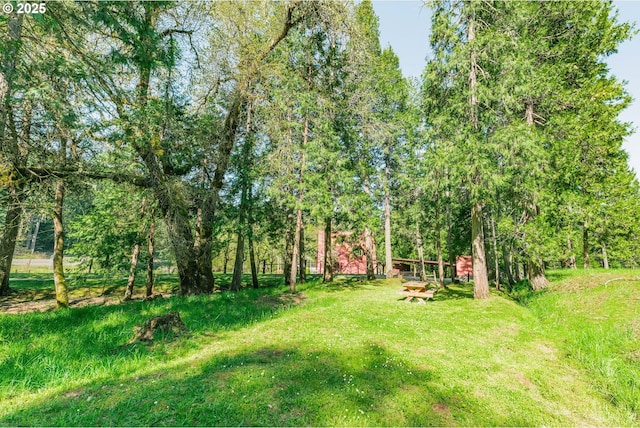 5920 Elkhead Rd, Yoncalla, OR 97499 - view of green lawn