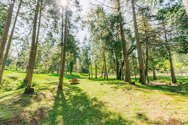 5920 Elkhead Rd, Yoncalla, OR 97499 - view of grassy yard