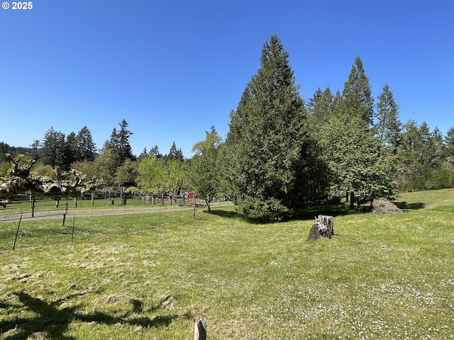 5920 Elkhead Rd, Yoncalla, OR 97499 - view of yard