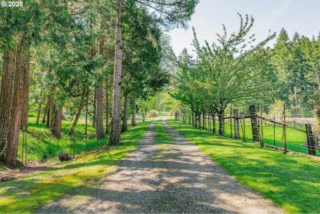 5920 Elkhead Rd, Yoncalla, OR 97499 - view of dirt / gravel road