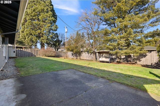 view of yard featuring a patio area